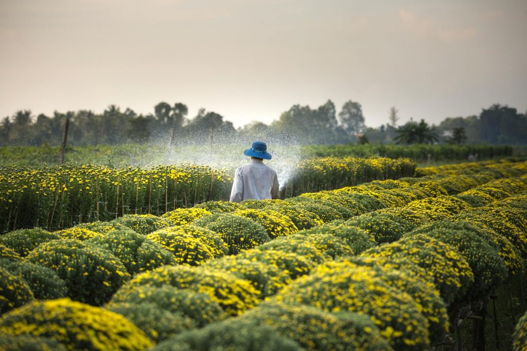 High-Paying Farming jobs in New Zealand with Visa Sponsorship