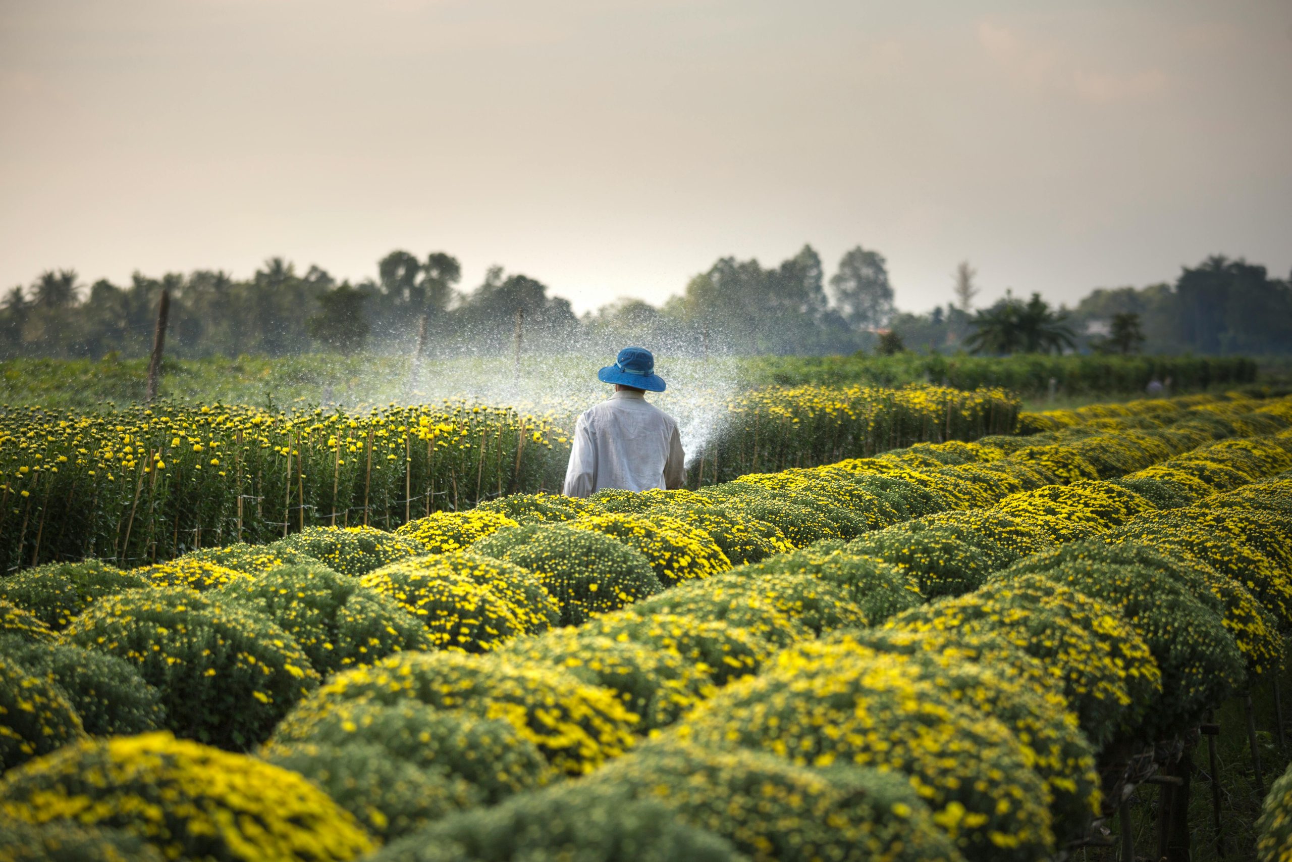 High-Paying Farming jobs in New Zealand with Visa Sponsorship